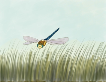 artwork titled 'Dragonfly'